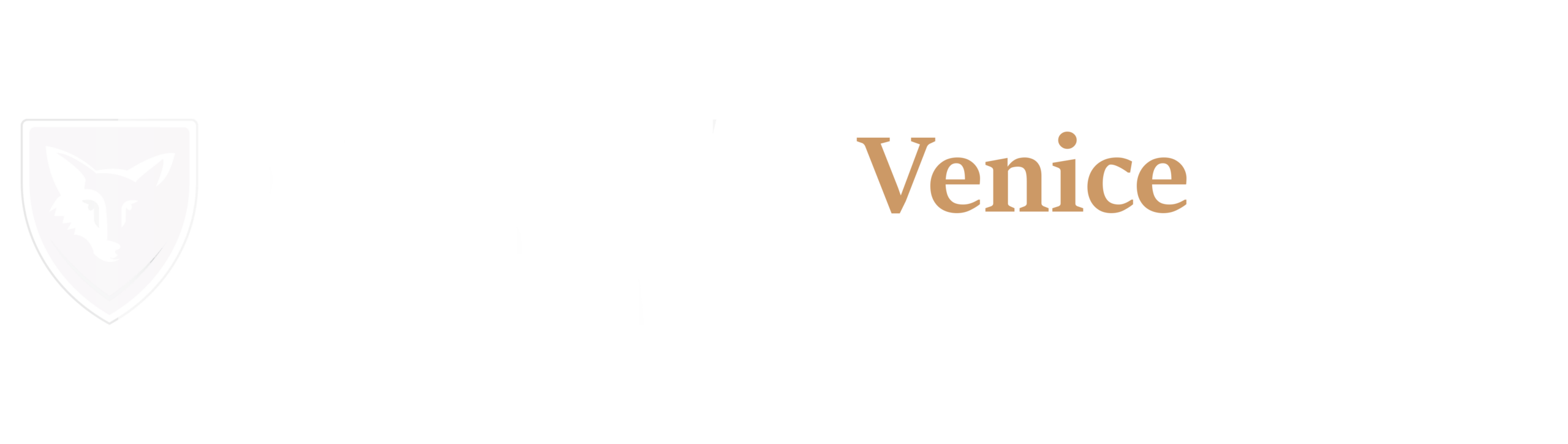 Security Venice